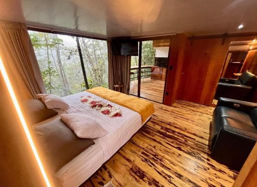 Sweet Jungle - Housity