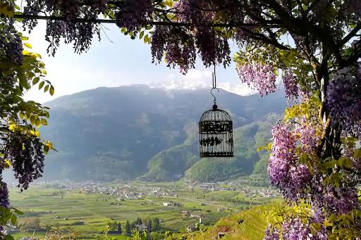Casa il Glicine Valtellina - Housity