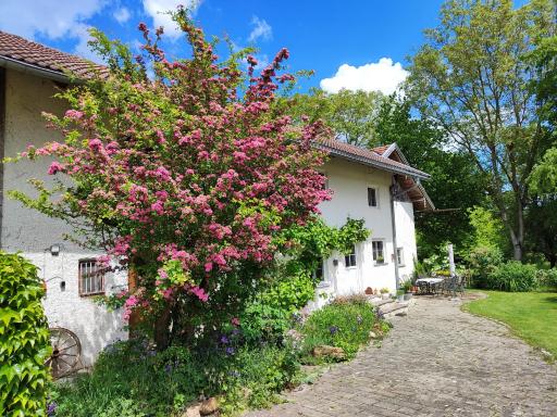 Ruhig gelegene Ferienwohnung im Grünen mit Terrasse und kleinem Garten - Housity