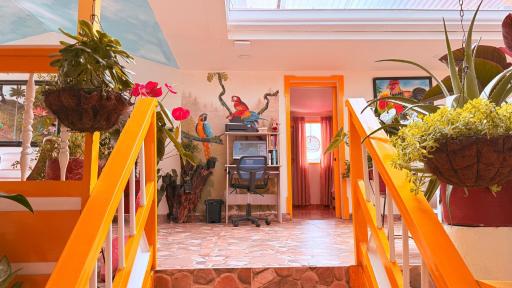 Casa Salento - Housity