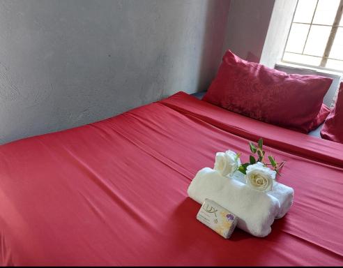 Spacious Hatfield Apartment - Hizvo