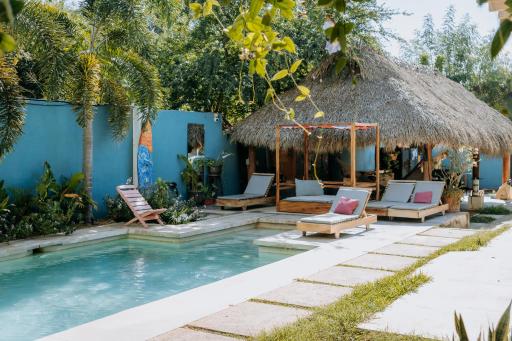 SurfNest Hostel - Housity