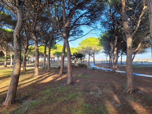 House 40 in Capannizza Pool Complex next the beach - Housity