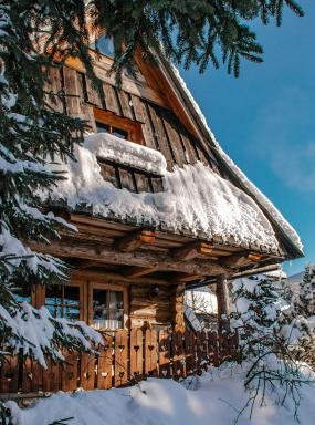 Domki Javorina - Housity