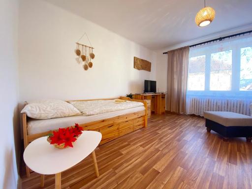 Apartmán v Trutnově - Housity