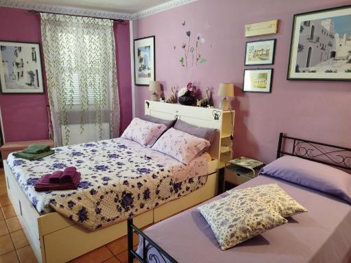 Gatto Matto - Housity