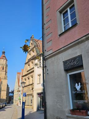 Hotel Rose - Housity