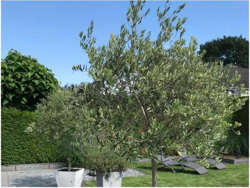 Holiday apartment summer breeze - Housity