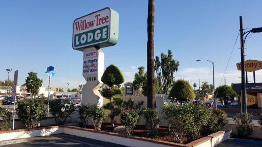 Willow Tree Lodge - Housity