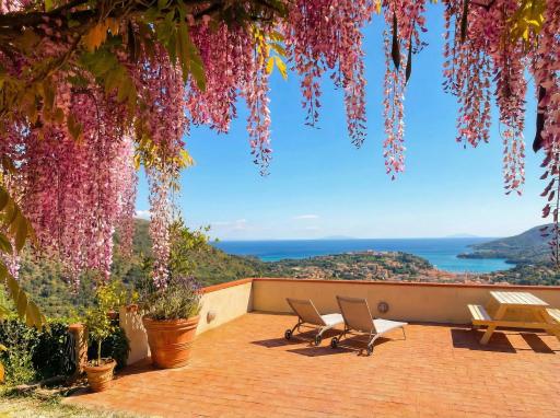 Aria di Collina - Isola d'Elba - Housity