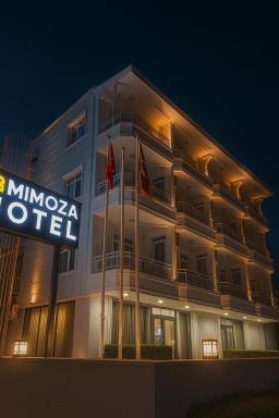 Mimoza Konyaaltı - Housity