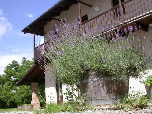 Cascina Creusa B&B - Housity