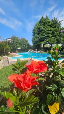 Casa Maria - Housity