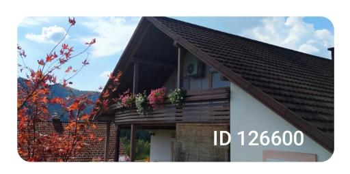 Veronika's House je prijeten, miren apartma v naravi, blizu mesta - Housity