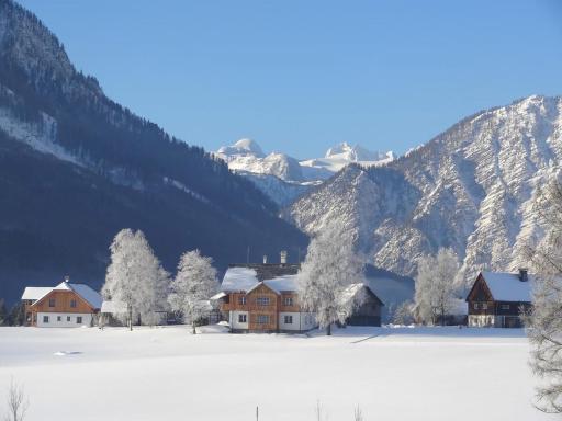 Stangl - Hof - Housity