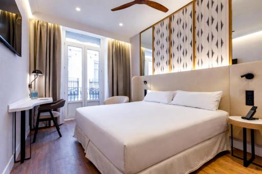 Petit Palace Plaza de la Reina - Housity