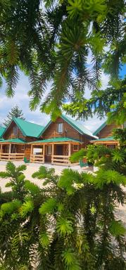 Green Top - Housity