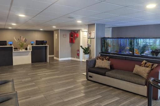Quality Inn & Suites Northampton - Amherst - Housity