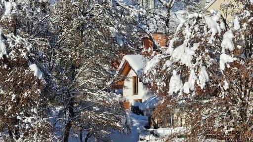 Ferienhaus am Park - Housity
