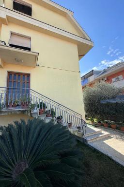 Palm Beach - Housity