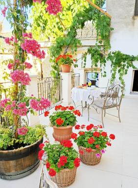 Borgo del Canto - Traditional Country Retreat - 30 Min from the Sea! - Housity