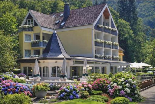 Hotel Schwanenweiher Bad Bertrich - Housity