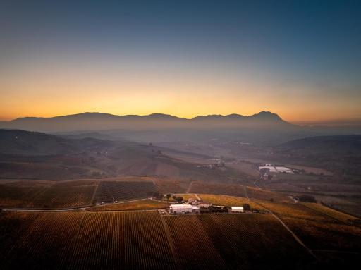 Masseria del Vino - Housity