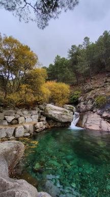 Hostal-Restaurante Fogón de Gredos - Housity