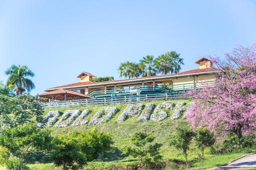 Hotel Gold Fish - Housity