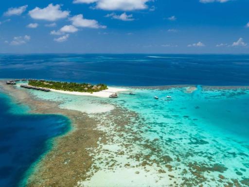 Mirihi Island Resort - Housity