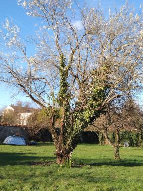 Fontaineblhostel hostel & camping near Fontainebleau - Housity