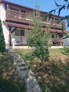 Vila Sabo- Casa de vacanta cu lac de pescuit si ciubar cu hidromasaj - Housity
