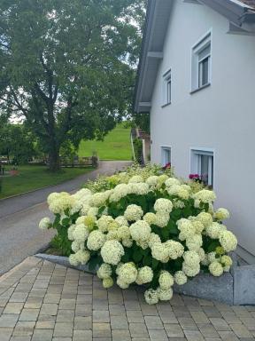 Landhaus Eichberger - Housity