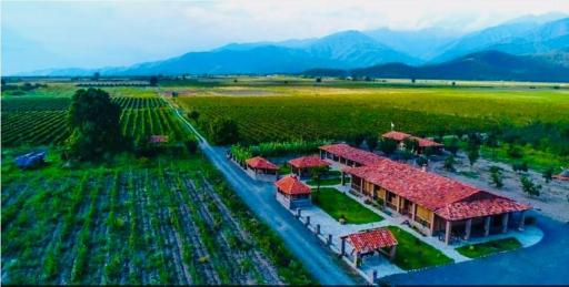 Gugoshvili's Cellar - Housity