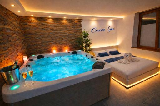 COCOON SPA-4 Pers-Jacuzzi-Parking-Jardin-Clim-Colmar - Housity