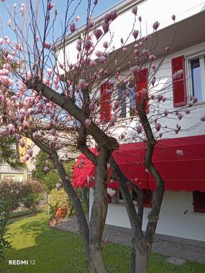 BF SUITE Foresteria Bellusci - Housity