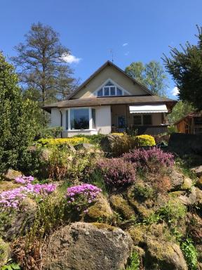 Forest Paradise - Housity