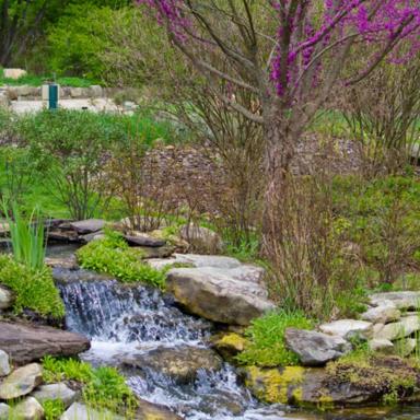 Fairlawn Serenity Retreat - Housity