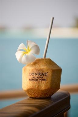 Conrad Maldives Rangali Island - Housity