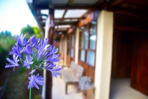 Santa Ana City Views Chalet - Housity