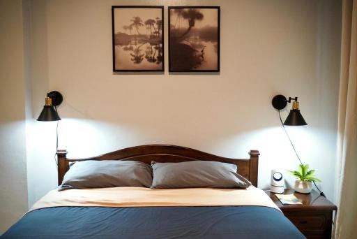 Palau Paradise Comfort - Hizvo