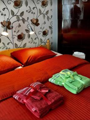 Soliid Apartment - Housity