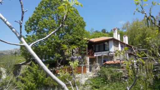 House Rodia - Housity