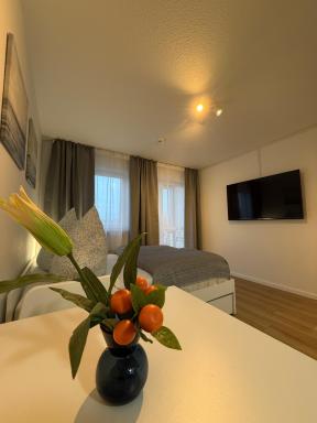South Apartment - Modern & Stylish - Hizvo