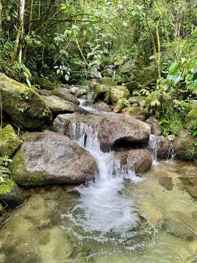 Ecohotel Soplo del Tambo - Housity