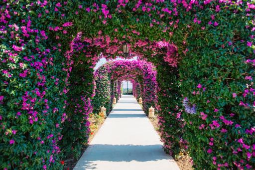 The St. Regis Mardavall Mallorca Resort - Housity