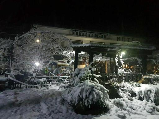 Podgorski An - Housity