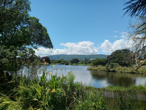 A Waterside retreat - Waikanae Beach - Housity