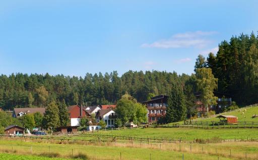 Waldhotel Bächlein - Housity