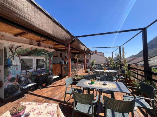 Hostel Backpackers - Housity